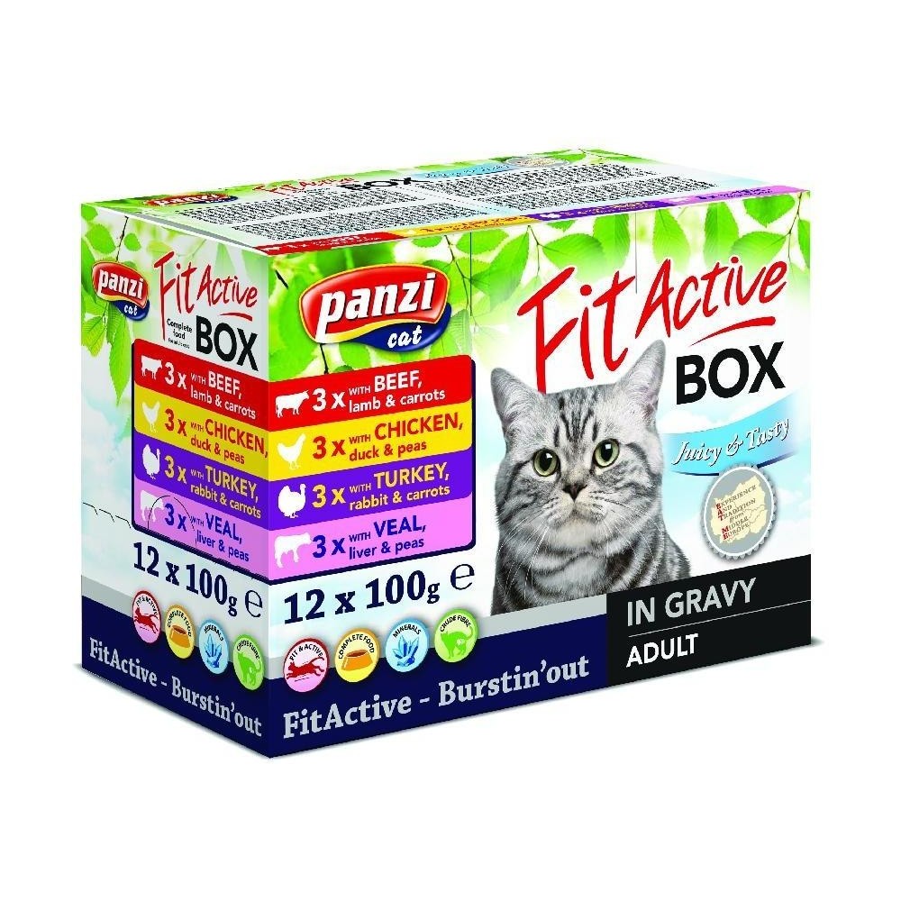 Fit Active Cat Box 12 x 100 g (różne smaki)