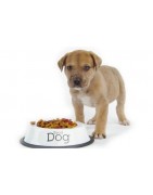 Diety weterynaryjne dla psów - Sklep Zoologic