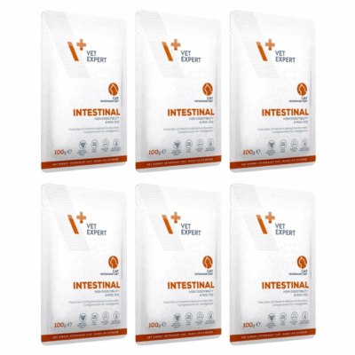 4T VetExpert Cat Intestinal saszetka 6 x 100 g  jelita, trzustka dla kotów