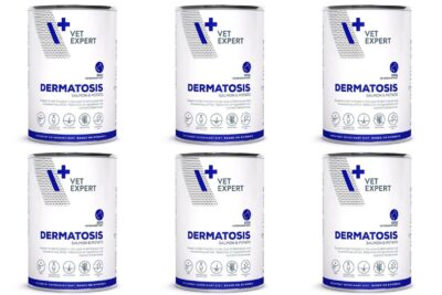 4t VetExpert Dermatosis Salmon&Potato 6 x 400g