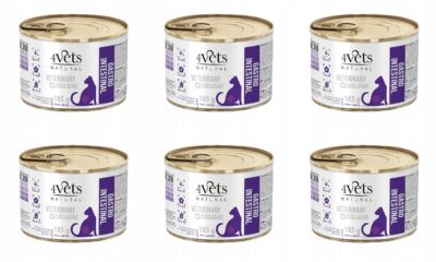 4Vets Natural Cat Gastro Intestinal 6 x 185g