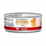 Disugual Karma Mokra Dla Kota Weterynaryjna Intestinal Wołowina 85 g