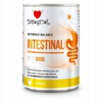 Disugual Karma Mokra Dla Psa Weterynaryjna Intestinal Jelita Kurczak 400 g