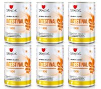 Disugual Karma Mokra Dla Psa Weterynaryjna Intestinal Jelita Kurczak 6x400g