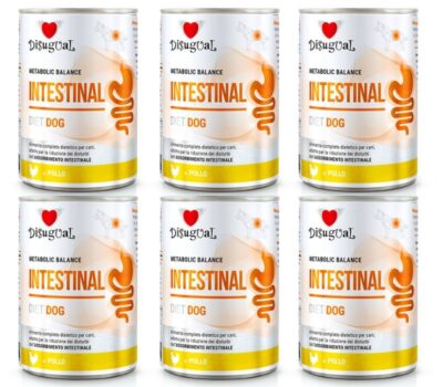 Disugual Karma Mokra Dla Psa Weterynaryjna Intestinal Jelita Kurczak 6x400g