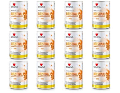 Disugual Psy Karma Mokra Weterynaryjna Intestinal Jelita Kurczak 12x400g