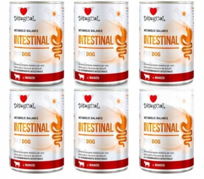 Disugual Psy Karma Mokra Weterynaryjna Intestinal Jelita Wołowina 6x400g