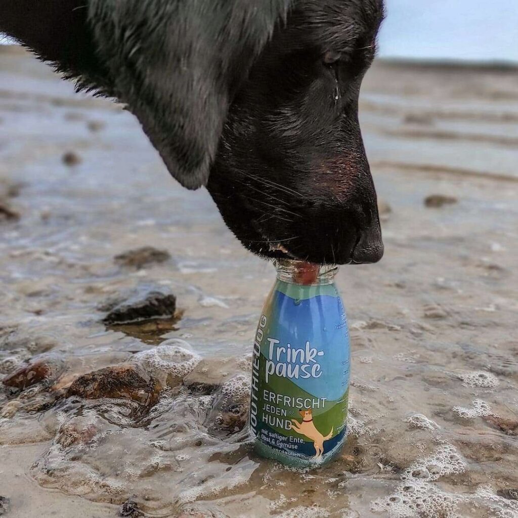 SMOOTHIE DOG Regenerująca Przekąska dla Psa 250ml 100% Naturlane detal