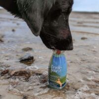 SMOOTHIE DOG Regenerująca Przekąska dla Psa 250ml 100% Naturlane