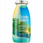 SMOOTHIE DOG Regenerująca Przekąska dla Psa 250ml 100% Naturlane