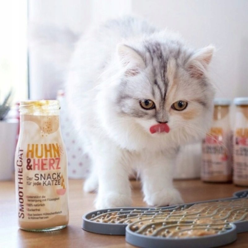 SMOOTHIE CAT Ente – smoothie dla kota kaczka (150g) detal