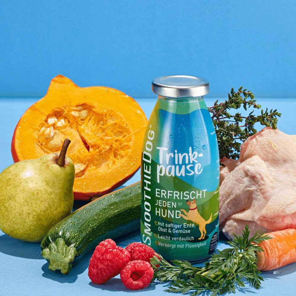 SMOOTHIE DOG Regenerująca Przekąska dla Psa 250ml 100% Naturlane detal