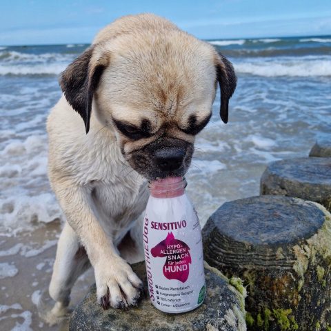 SMOOTHIE DOG Sensitivo Konina Przekąska dla psa 250ml 100% Naturalna detal