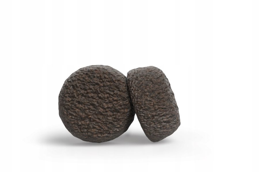 Josera Adult Festival Sucha karma dla psa dorosłego z łososiem i kurczakiem 12,5kg detal