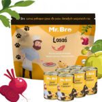 Zestaw Mr. Bro monoproteinowa Sucha i Mokra Karma Dla Psów Dorosłych Z Łososiem 3kg + 6x400g