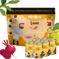 Zestaw Mr. Bro monoproteinowa Sucha i Mokra Karma Dla Psów Dorosłych Z Łososiem 3kg + 6x400g