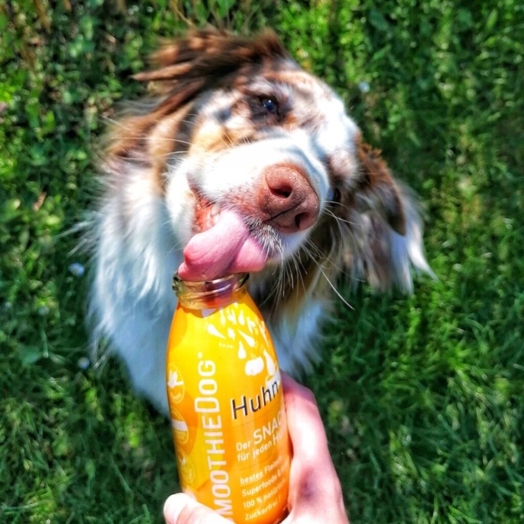 SMOOTHIE DOG Chicken Kurczak Przekąska dla psa 250ml 100% Naturalna detal