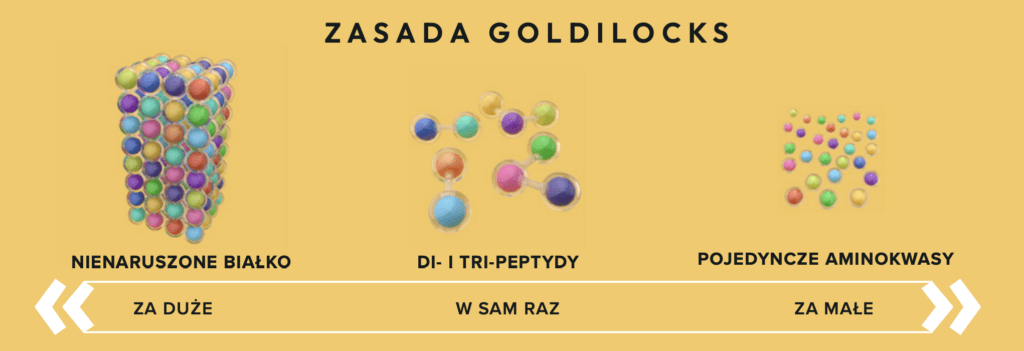 ecomiVET+ Hypoallergenic Kompleksowa Formuła Prozdrowotna dla szczeniąt i psów dorosłych 10kg sucha dieta dla psów 100% hydrolizat łosoś detal