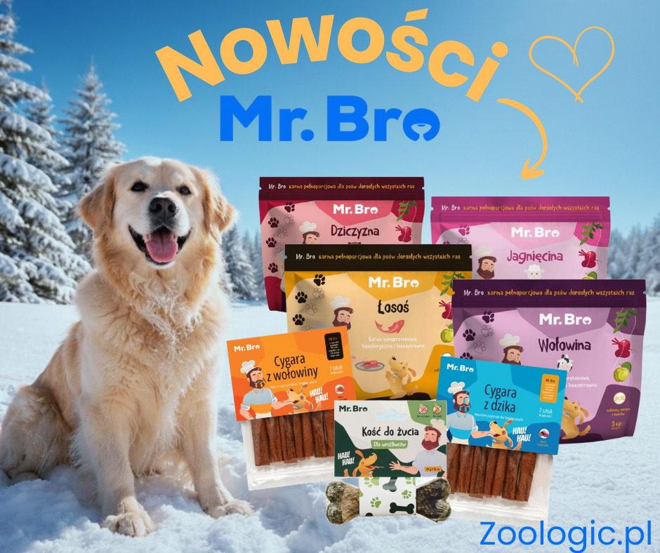 Nowości Mr. Bro