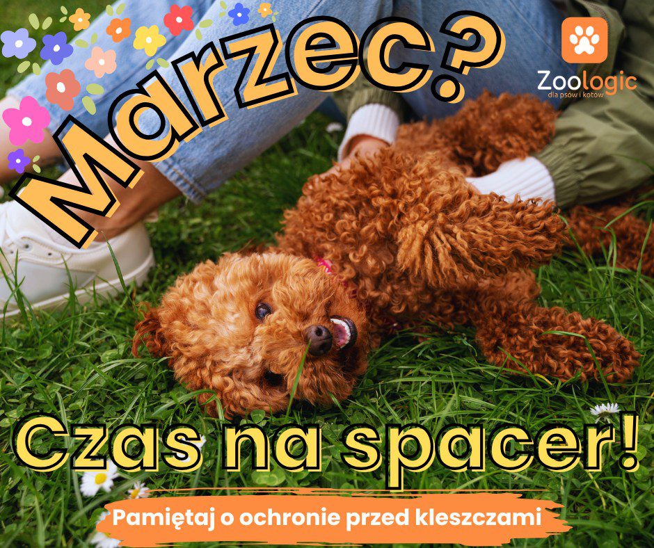 Czas na ochronę przed kleszczami!