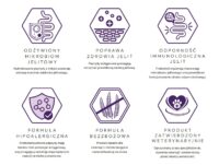 ecomiVET+ GASTROINTESTINAL 500g Bez Zbóż KOTY 100% hydrolizat Indyk Łosoś