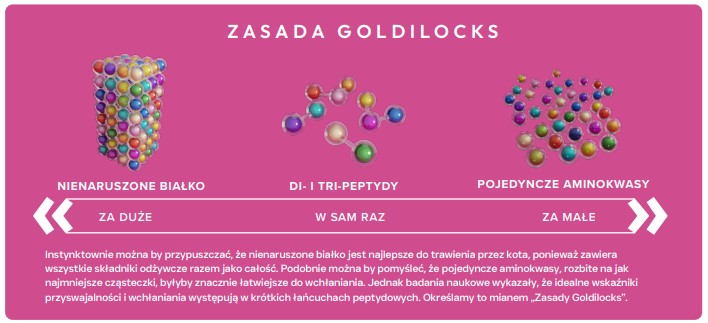 ecomiVET+ SKÓRA I SIERŚĆ 500g dieta Bez Zbóż KOTY 100% hydrolizat Łosoś detal