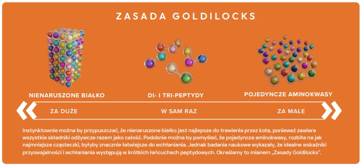 ecomiVET+ URINARY 500g dieta Bez Zbóż KOTY 100% hydrolizat Kurczak Łosoś detal