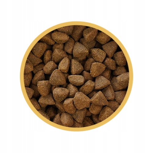 Karma Biofeed 53% Mięsa Indyk Jagnięcina 2 kg dla ras małych Maltańczyk detal