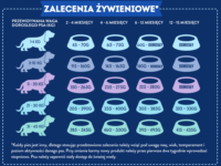 Ecomida Superfood 65 % Indyk & Wieprzowina, Szczenię 2 kg karma Bezzbożowa