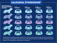 Ecomida Superfood 65 % Wołowina Angus, Szczenię 1 kg karma Bezzbożowa