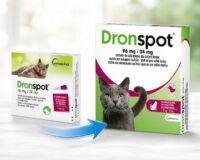 Dronspot 96 mg/24 mg roztwór do nakrapiania dla dużych kotów Odrobaczenie